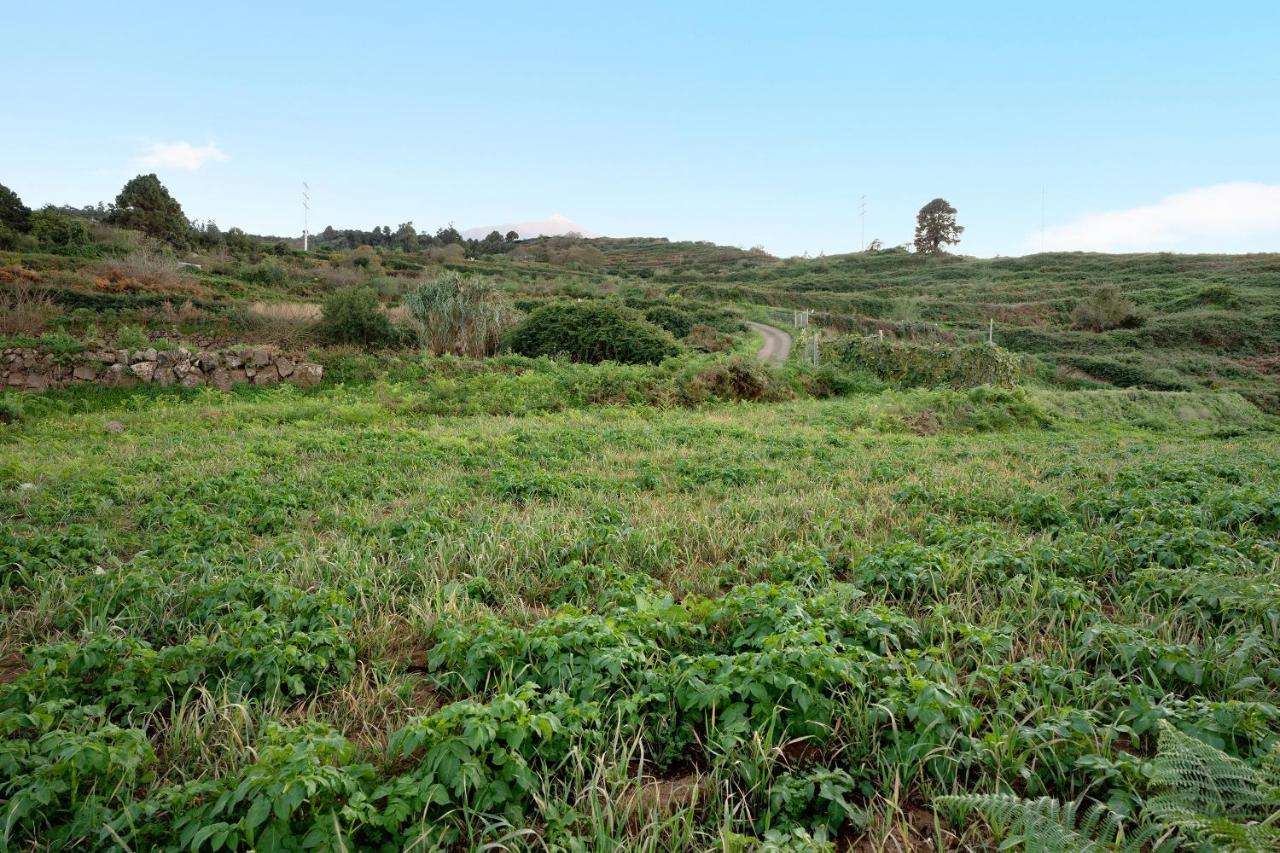 El Nogal Villa San Juan de la Rambla Eksteriør billede